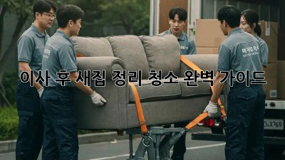 이사 후 새집 정리, 청소 완벽 가이드!